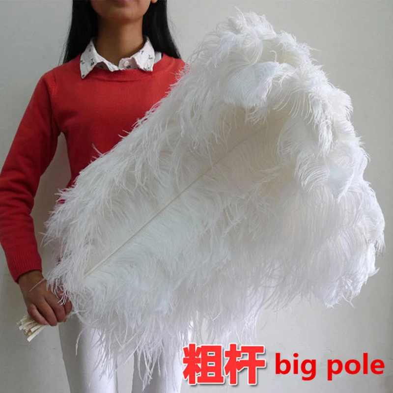Feather Trim Marabou - 65-70cm White Ostrich Feather Fluffy Feathers