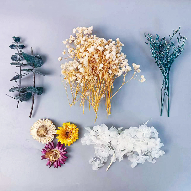 1pack Multifarious Dried Flowe - огляд і ціна Craft Embellishments